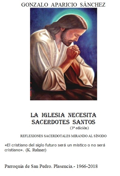 LA  IGLESIA  NECESITA Sacerdotes  SANTOS (3ª edición)  REFLEXIONES SACERDOTALES MIRANDO AL SÍNODO
