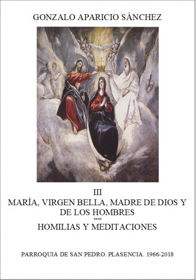 MARÍA, VIRGEN BELLA, MADRE DE DIOS Y DE LOS HOMBRES III. LA DOCTRINA DE LA IGLESIA